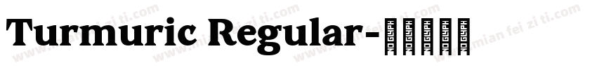 Turmuric Regular字体转换